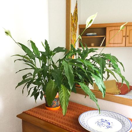 산타크루즈데라팔마 Casa De Amig@S En Santa Cruz De La Palma 아파트 외부 사진